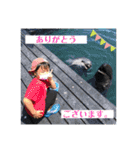 二匹の兎とおまけ（個別スタンプ：11）