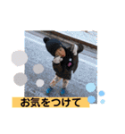 二匹の兎とおまけ（個別スタンプ：29）