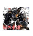 名犬サクちゃん11（個別スタンプ：35）