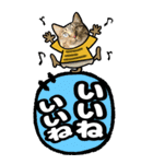 キジトラ猫BIG9(デカ文字)（個別スタンプ：4）