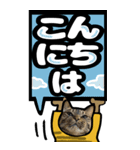 キジトラ猫BIG9(デカ文字)（個別スタンプ：15）