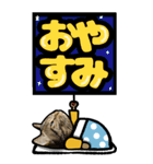 キジトラ猫BIG9(デカ文字)（個別スタンプ：24）