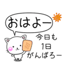 ちびねこ100% 毎日使えるでか文字 Vol.2（個別スタンプ：13）