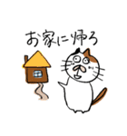 IT系に優しい？三毛猫（個別スタンプ：8）