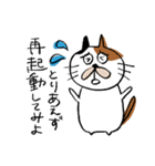 IT系に優しい？三毛猫（個別スタンプ：24）