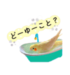 レナ子＆レイ＆ロコ（個別スタンプ：22）