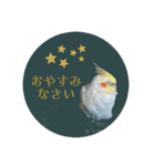 オカメの丸いステッカー（個別スタンプ：4）