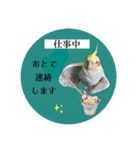 オカメの丸いステッカー（個別スタンプ：9）