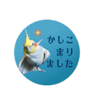 オカメの丸いステッカー（個別スタンプ：11）