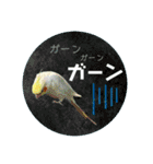 オカメの丸いステッカー（個別スタンプ：22）