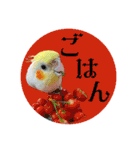 オカメの丸いステッカー（個別スタンプ：25）
