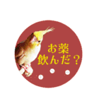 オカメの丸いステッカー（個別スタンプ：27）