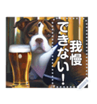 お酒が待てないブルドッグ犬（個別スタンプ：5）