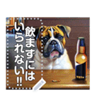 お酒が待てないブルドッグ犬（個別スタンプ：17）