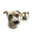 まいるー 新（個別スタンプ：7）