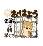柴犬 ちゃちゃ丸たち 31『じぃじ＆ばぁば』（個別スタンプ：1）