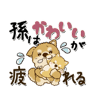 柴犬 ちゃちゃ丸たち 31『じぃじ＆ばぁば』（個別スタンプ：3）
