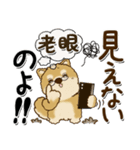 柴犬 ちゃちゃ丸たち 31『じぃじ＆ばぁば』（個別スタンプ：5）