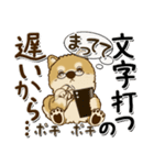 柴犬 ちゃちゃ丸たち 31『じぃじ＆ばぁば』（個別スタンプ：6）