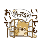 柴犬 ちゃちゃ丸たち 31『じぃじ＆ばぁば』（個別スタンプ：7）
