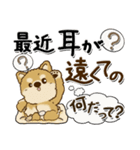 柴犬 ちゃちゃ丸たち 31『じぃじ＆ばぁば』（個別スタンプ：9）