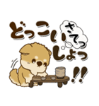 柴犬 ちゃちゃ丸たち 31『じぃじ＆ばぁば』（個別スタンプ：11）