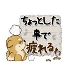 柴犬 ちゃちゃ丸たち 31『じぃじ＆ばぁば』（個別スタンプ：12）