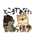 柴犬 ちゃちゃ丸たち 31『じぃじ＆ばぁば』（個別スタンプ：13）