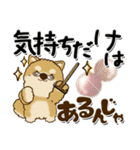 柴犬 ちゃちゃ丸たち 31『じぃじ＆ばぁば』（個別スタンプ：15）