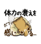 柴犬 ちゃちゃ丸たち 31『じぃじ＆ばぁば』（個別スタンプ：16）