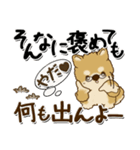 柴犬 ちゃちゃ丸たち 31『じぃじ＆ばぁば』（個別スタンプ：17）