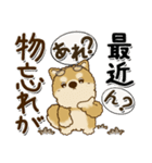 柴犬 ちゃちゃ丸たち 31『じぃじ＆ばぁば』（個別スタンプ：18）