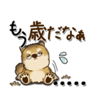 柴犬 ちゃちゃ丸たち 31『じぃじ＆ばぁば』（個別スタンプ：20）