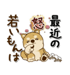 柴犬 ちゃちゃ丸たち 31『じぃじ＆ばぁば』（個別スタンプ：21）