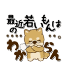 柴犬 ちゃちゃ丸たち 31『じぃじ＆ばぁば』（個別スタンプ：22）