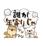 柴犬 ちゃちゃ丸たち 31『じぃじ＆ばぁば』（個別スタンプ：24）