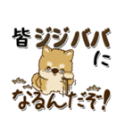 柴犬 ちゃちゃ丸たち 31『じぃじ＆ばぁば』（個別スタンプ：26）