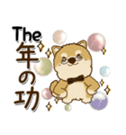 柴犬 ちゃちゃ丸たち 31『じぃじ＆ばぁば』（個別スタンプ：31）