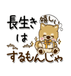 柴犬 ちゃちゃ丸たち 31『じぃじ＆ばぁば』（個別スタンプ：34）