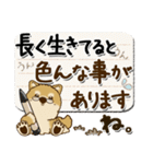 柴犬 ちゃちゃ丸たち 31『じぃじ＆ばぁば』（個別スタンプ：35）