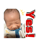 てんてんとお喋り（個別スタンプ：3）