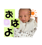 てんてんとお喋り（個別スタンプ：5）