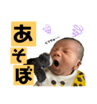 てんてんとお喋り（個別スタンプ：11）