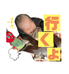 てんてんとお喋り（個別スタンプ：13）