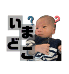 てんてんとお喋り（個別スタンプ：16）