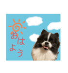 おれ、おれお3（個別スタンプ：1）