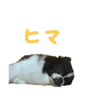 おれ、おれお3（個別スタンプ：3）