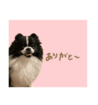 おれ、おれお3（個別スタンプ：6）