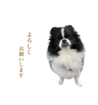 おれ、おれお3（個別スタンプ：7）