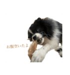 おれ、おれお3（個別スタンプ：11）